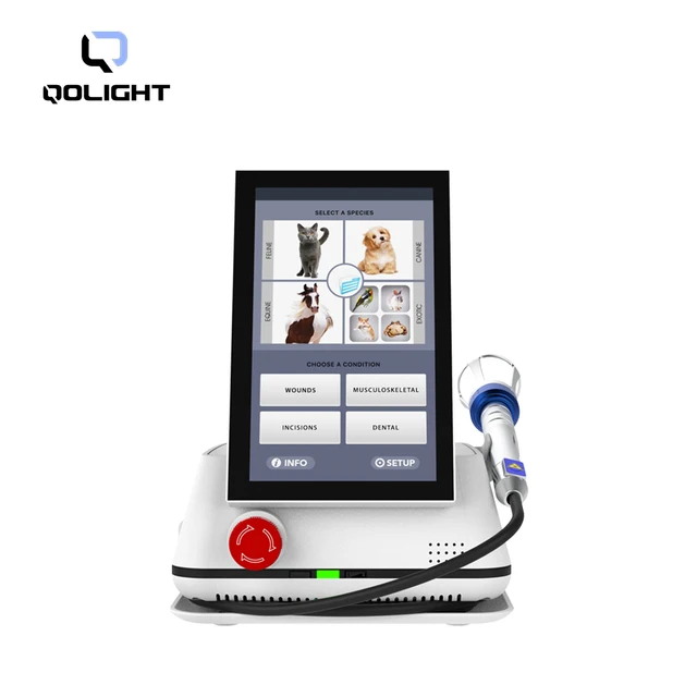Qolight 2023 New Arrival  Veterinary Laser Therapy Machine for Pet dogs cats horse animal
