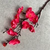 Rose Madder