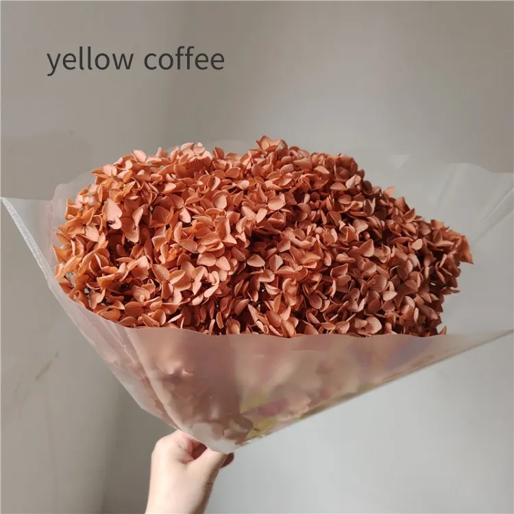 Dried Hydrangea Blooms site Top Seller Dried Natural Large Plum Berry Hydrangea Preserved