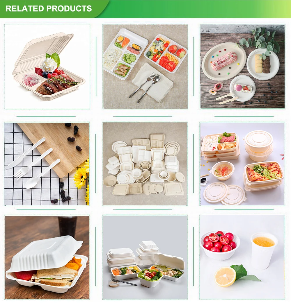 Fast packaging Biodegradable food bento lunch box recycling