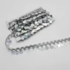 f1silver-holographic