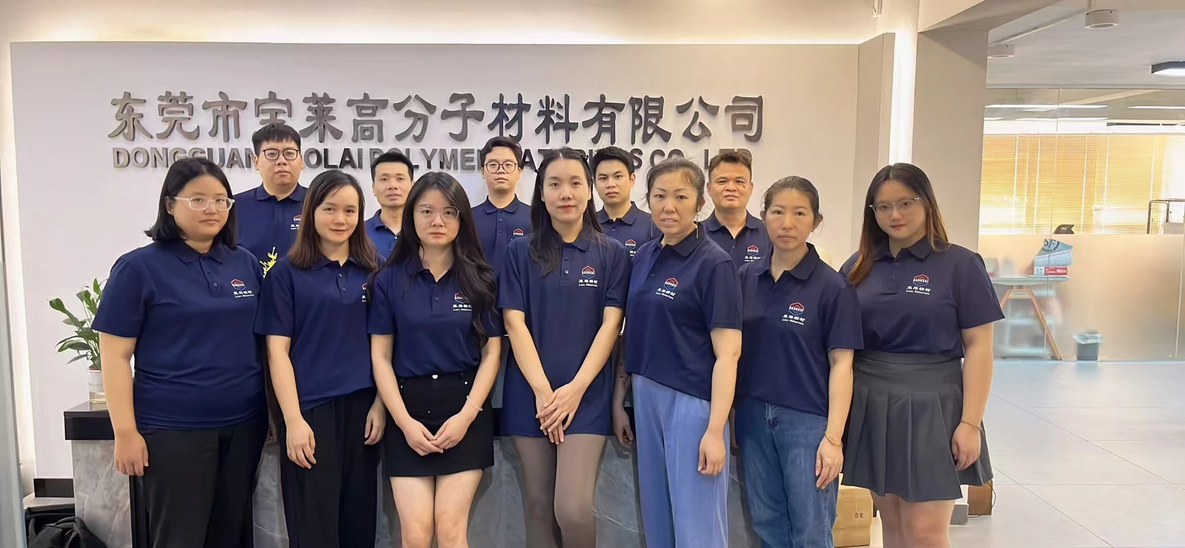Dongguan Baolai Polymer Materials Co., Ltd. 2