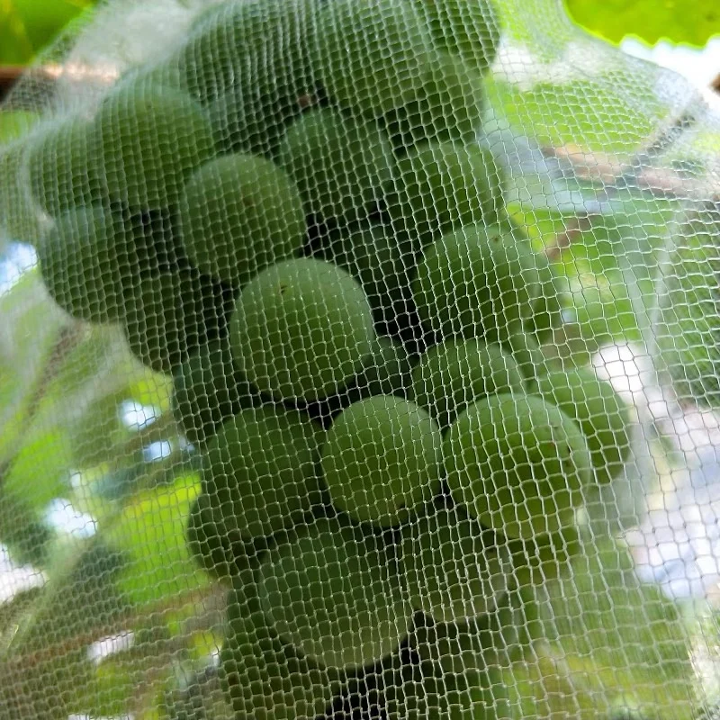 Bolsa de protección de red de fruta mono de plástico, red de malla antiinsectos para cubierta de fruta