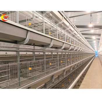 Factory Direct Sale Kenya Poultry Chicken Farm 500 Birds Automatic Egg Layer Chicken Cages H Type 10000 Layer Bird Layer Cage