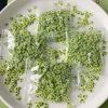 เอ4