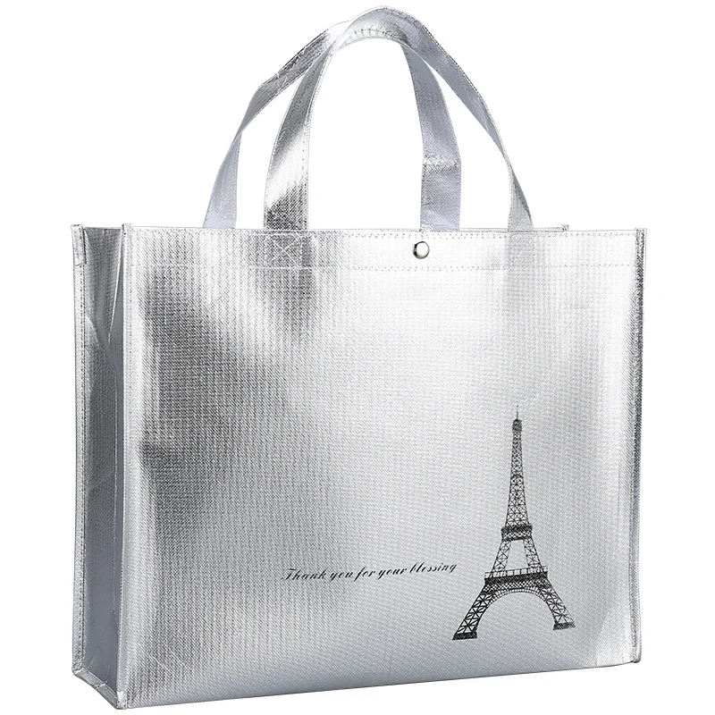 silver carry bag