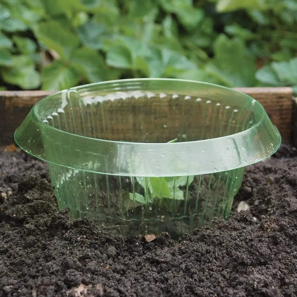 DD3906  30pcs Protect Plant to Get Better Snail Slug Collars for Plants Plastic Floor Garden Cloches