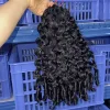 Ricci birmani