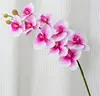 Cuore bianco