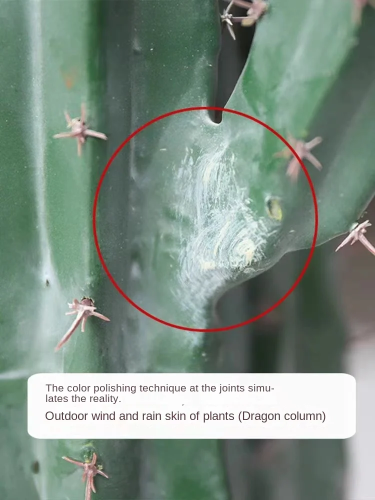 Manufacturers Wholesale Large Green Plant Floor Ornaments,Window Potted Desert Pu Cactus Buy