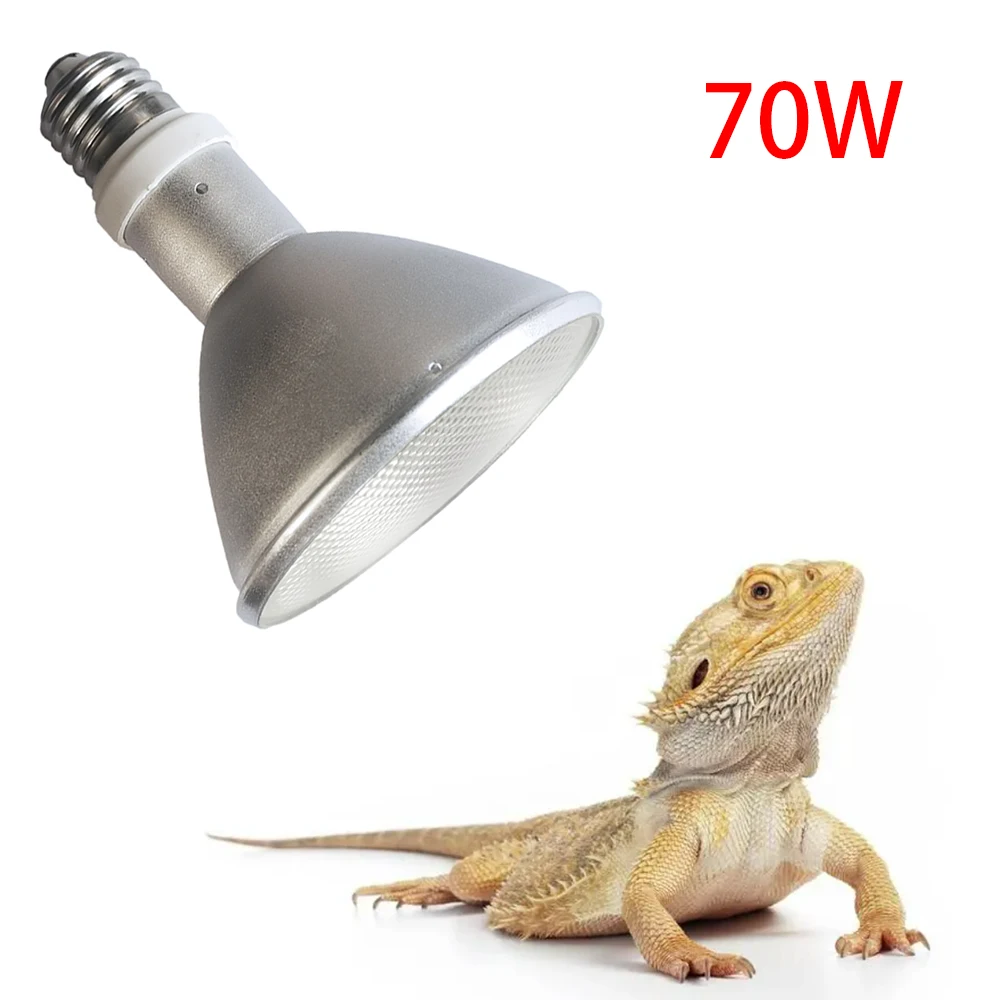 flood light for bearded dragon