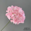 Single pack 72 four-petal hydrangeas
