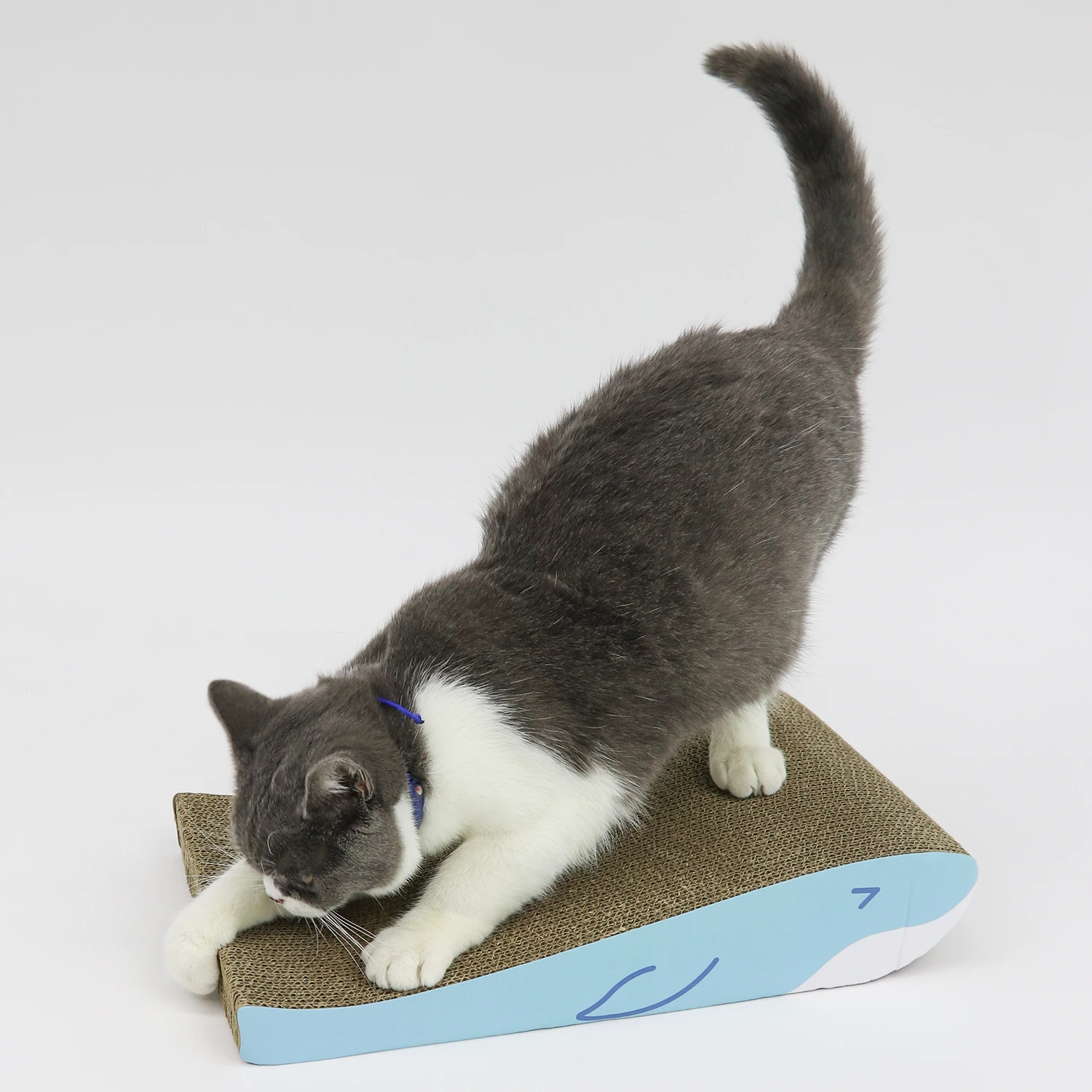 Comfortable Curved Highdensity Cat Scratching Boards Boxes Posts For