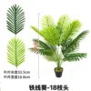 18 tallos de Clematis palm