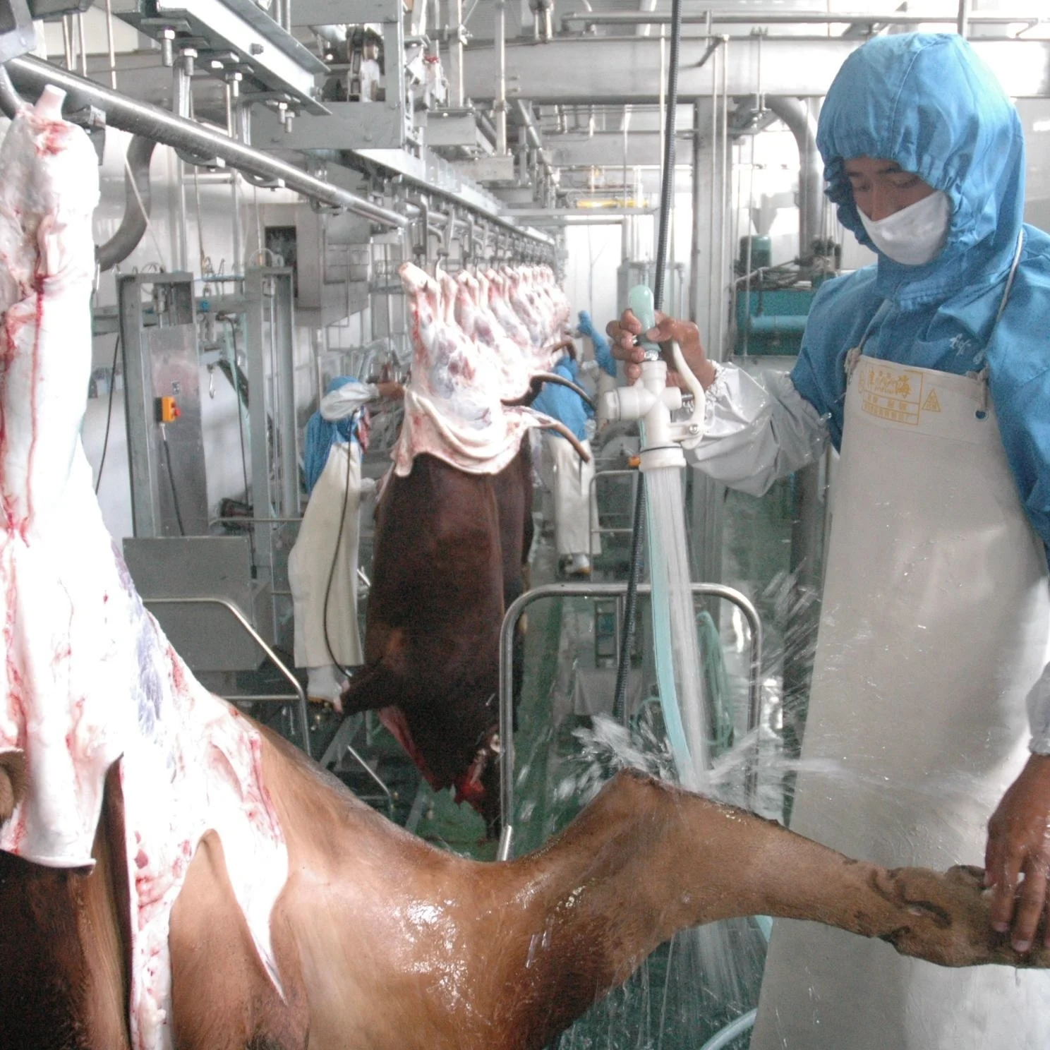 Automatic 10-100 cow/day slaughtering line turnkey beef slaughterhouse equipment for small slaughterhouse with motor