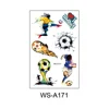 WS-A171
