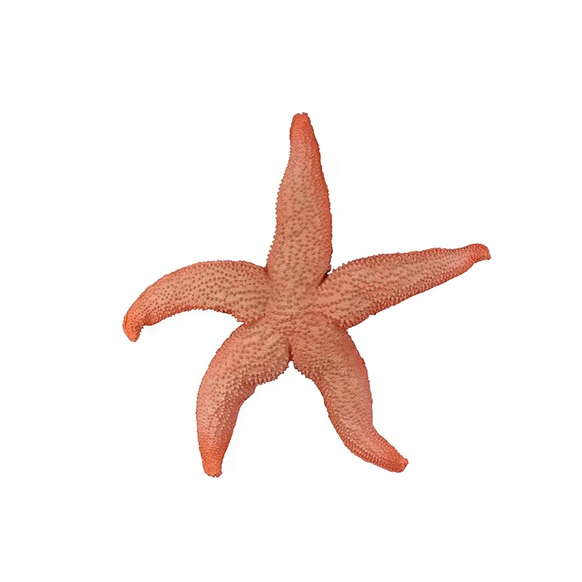 Cute resin starfish wall decoration 3d for home