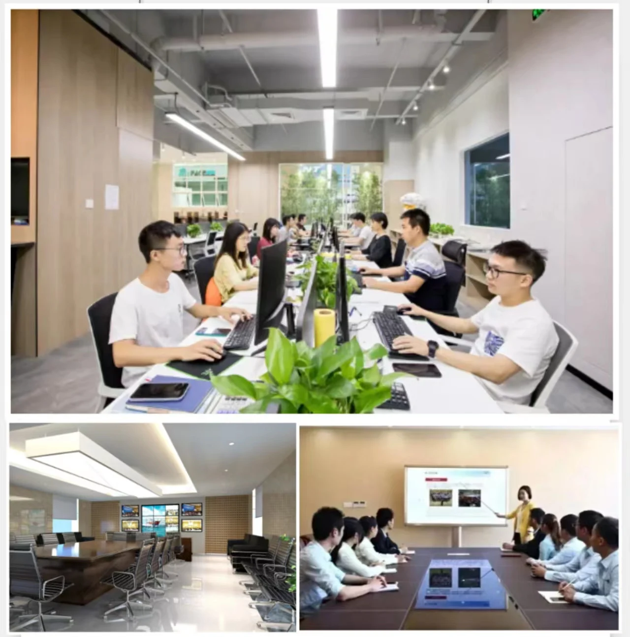 Dongguan Baishengda Trading Co., Ltd. 2
