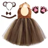 Costume da scimmia