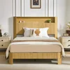Natural - XL Completo