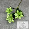 3d giglio-verde a tre teste