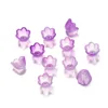 Bicolor lily of the valley calyx - purple