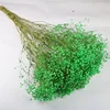 Verde, altura aproximada de 75 cm