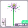 655070 epiphyllum oxypetalum