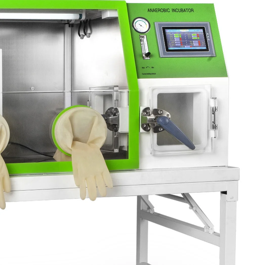 Lowest Price Anaerobic Chamber Box / Laboratory Anaerobic Incubator / Anaerobic Microaerobic System