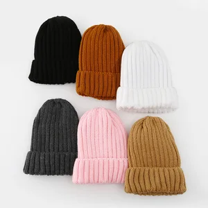 Cross-border 2024 Europe United States Autumn Winter New Unisex Protective Hairstyle Warm Knitted Colored Acrylic Hat Common
