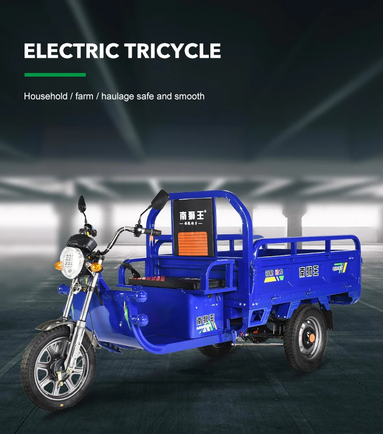 Big Battery 60v 75km Trike 800w 1000w Pedicab Open Body 3 Wheel Bike