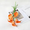Naranja luz del sol (núcleo blanco)