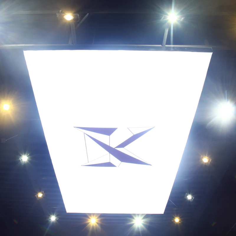 CE Certified LED Panel Car Detailing Light Electric Power Source for Car Garage or Showroom with Printed Logo