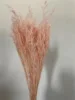rosa sakura chiaro