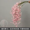 1 branch hanging dream orchid