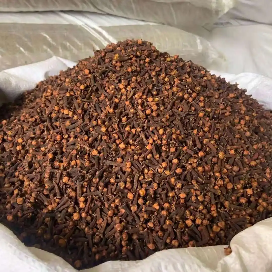 Wholesale 100% Natural Indonesian Cloves Spices New Crop Madagascar Sri Lanka AB6 Clove