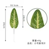 Elephant ear leaf small