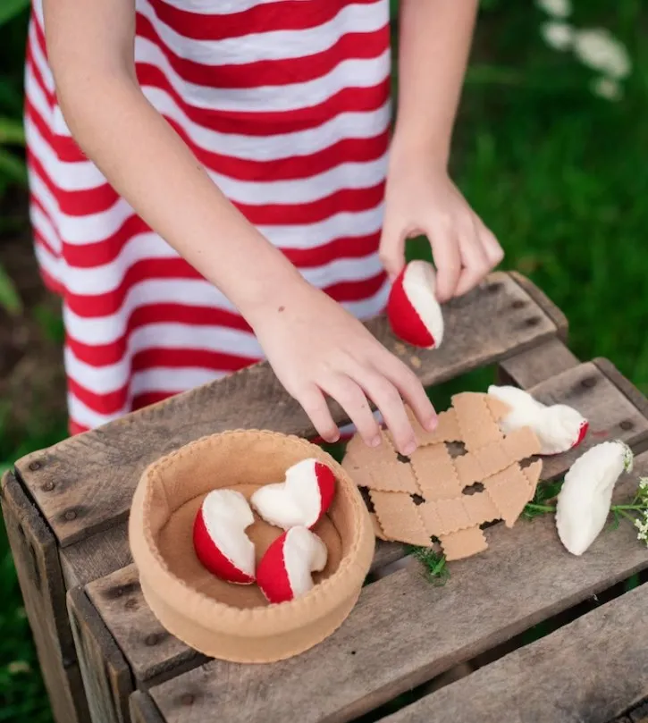 Felt Apple Pie Making Toy Kit