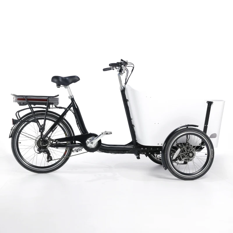 Factory Wholesale Price Durable Heavy Loading Cargo Electric Bike 3 Wheel Tricycle Bike Family Trike From China