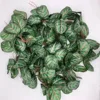 36 piezas tridimensionales de cola de fénix, 5 tiras