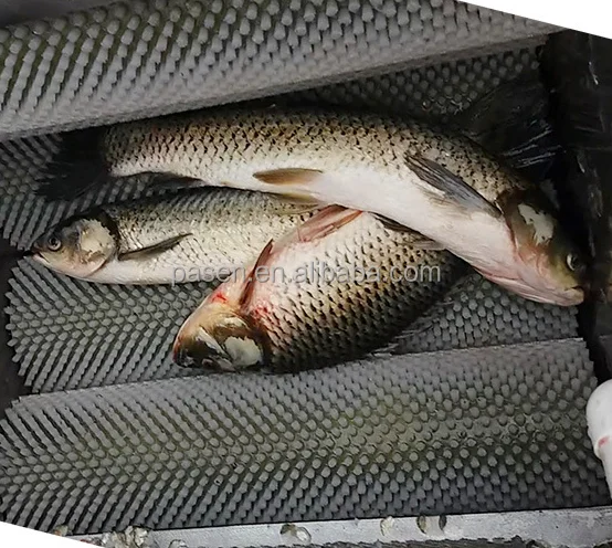 Automatic Fish Scaler Cleaning Machine - Efficient & Durable