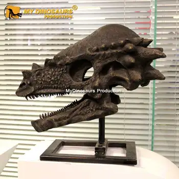 恐竜の頭 リアル造形の恐竜の頭を並べて飾ろう! 新しい恐竜ガチャ【リアル