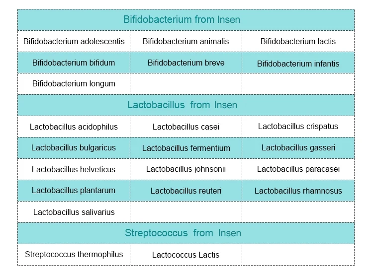 Lactobacillus.jpg