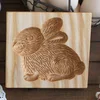 Hairy rabbit 10*10*2