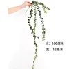 Button Jade Vine