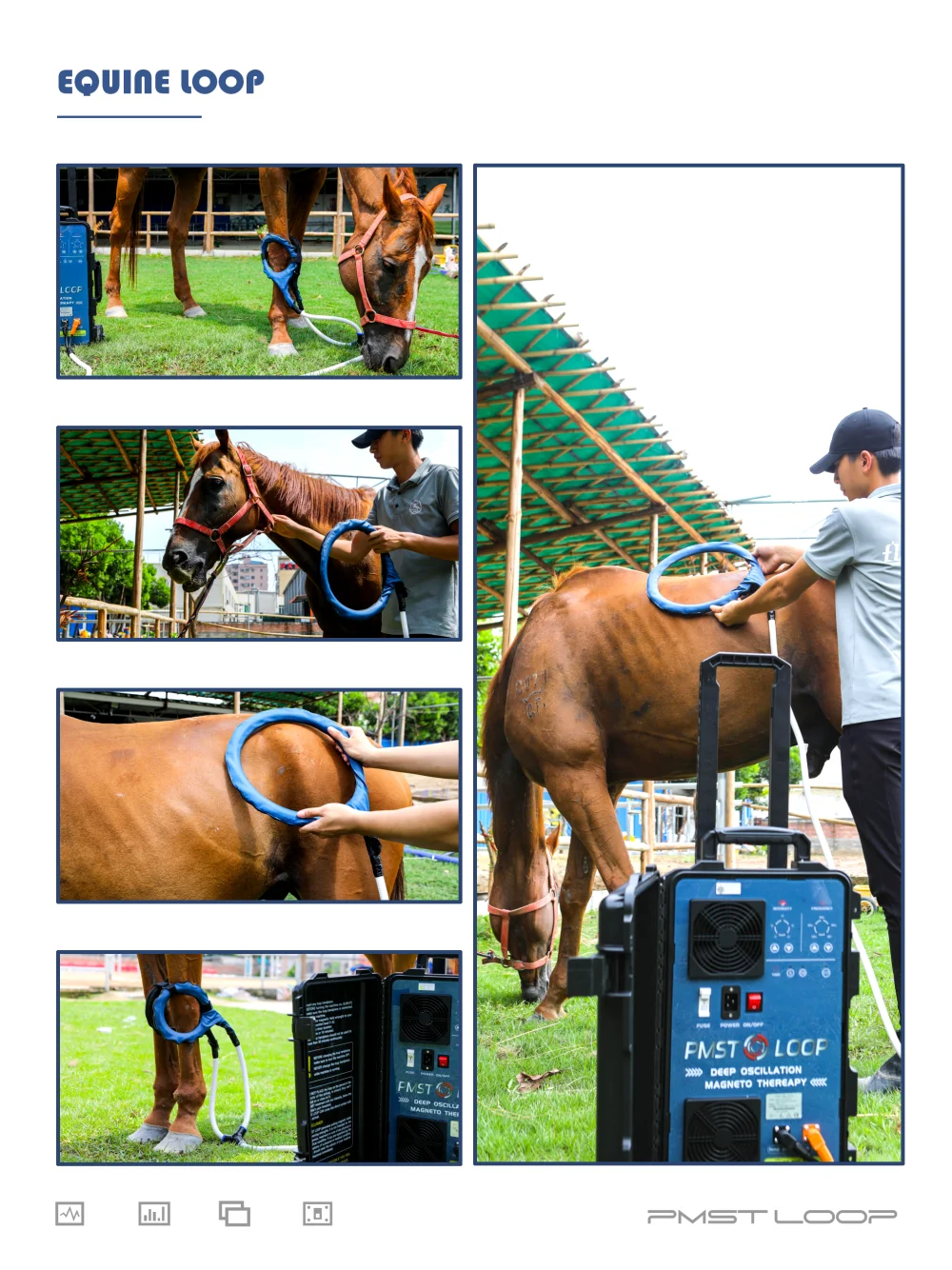 6000 Gauss PEMF Loop Physio Magneto Pulser Therapy Device Horse Physiotherapy Rehabilitation Equipment