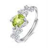 JH0147-4Olivine
