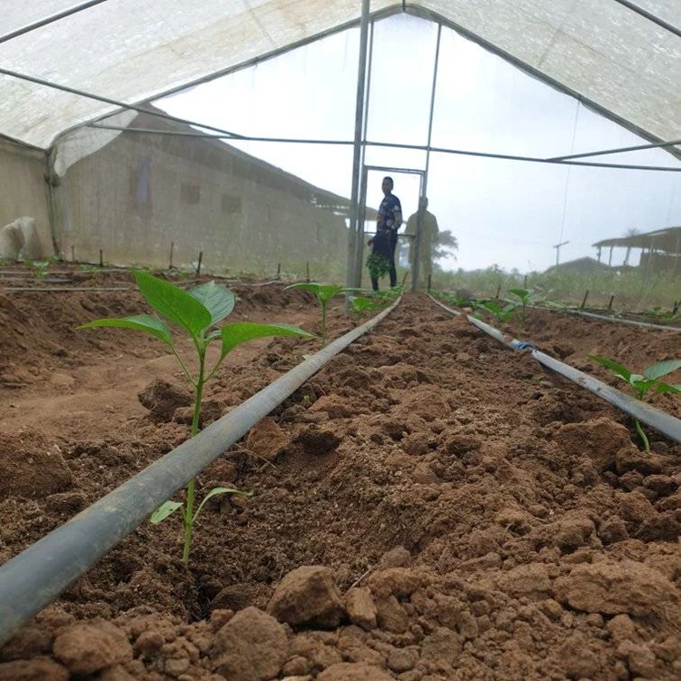 Agricultural Durable Drip Irrigation System 1000m 0.4mm Thickness 30cm Spacing 16mm Drip Irrigation Pipe