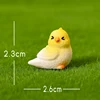 Shy Bird