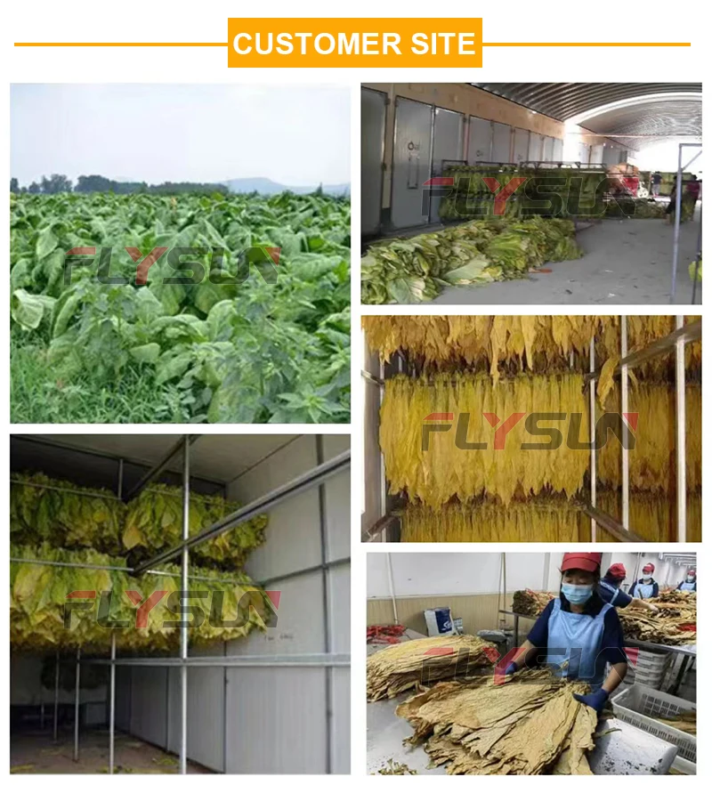Modern Tobacco Curing Barns